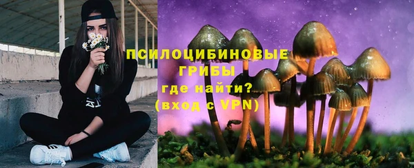 экстази Липки