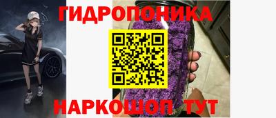 гидра Кингисепп