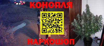 гидра Кингисепп