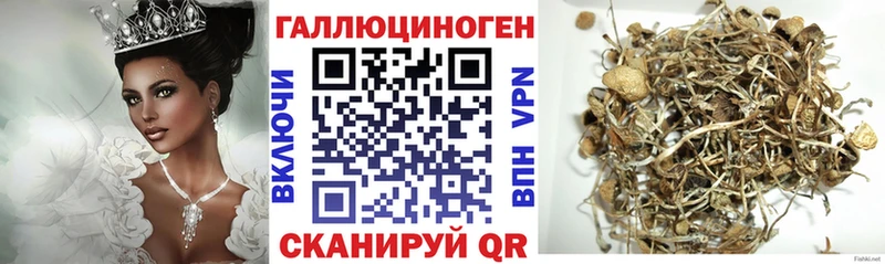 Галлюциногенные грибы мухоморы  Ковров 