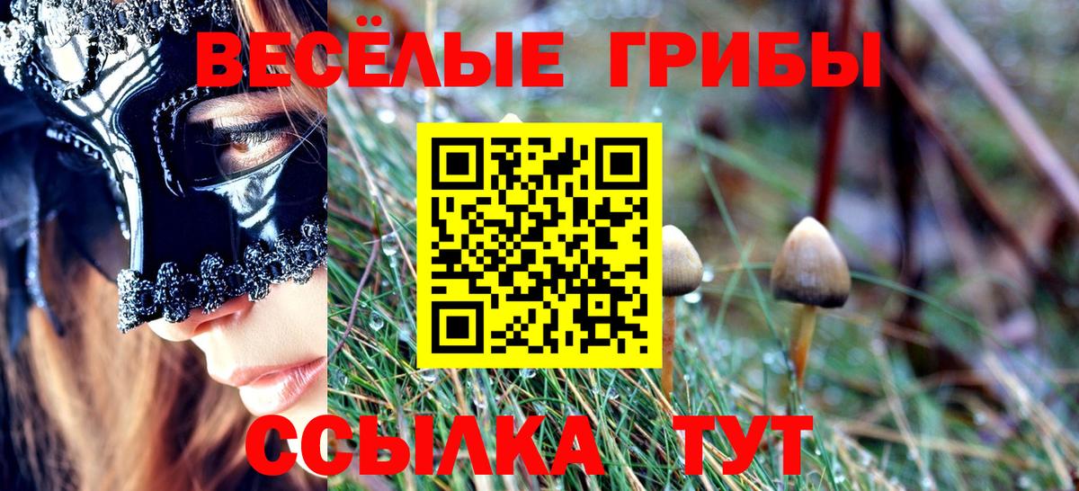 Галлюциногенные грибы ЛСД Ковров