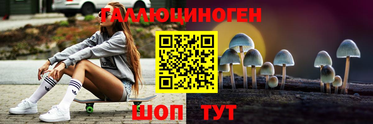 Псилоцибиновые грибы Psilocybine cubensis  купить наркотик  Ковров  Вход с VPN  Псилоцибиновые грибы мицелий 